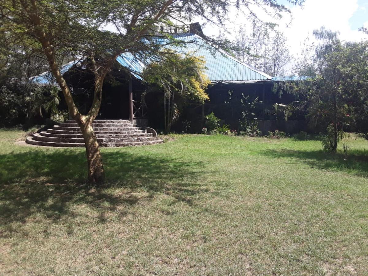 Lodge Cactus Eco Camp And *